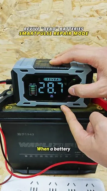 12V/24V Smart Battery Charger,#tiktok#tiktokshop#summervibes