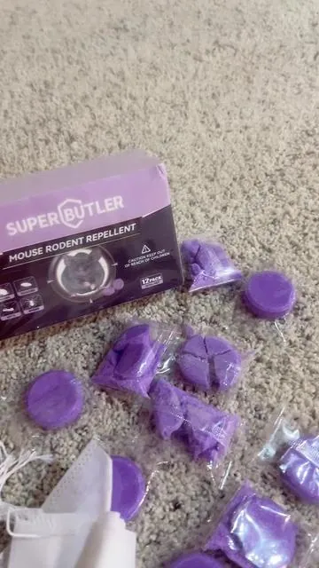 SUPER BUTLER mouse rodent repellent #ticktokecreatersearchinsight 
