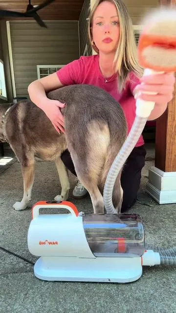 An absolute GAME CHANGER 🐶 #dogsoftiktok #fyp #pethair #doggrooming #shedding @Mystery trading 