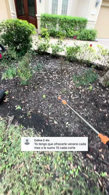 #fermin #yardwork #paratii #backpack #weedkiller 