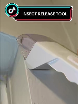 This makes it so much easier #insect #moth #bugs #bug #tiktokshopcreatorpicks 