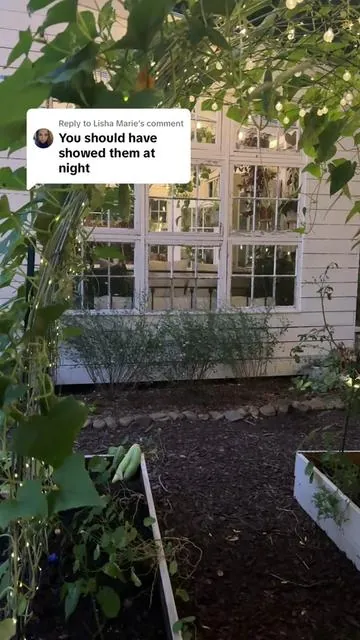 Replying to @Lisha Marie girl, you are so right. #SummerVibes #solarlights #garden 