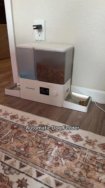 This automatic dog feeder has made feeding routines SO much easier for busy pet parents 🐶 Perfect for scheduled feeding, portion control, and keeping your pup’s routine consistent even on hectic days. #AutomaticDogFeeder #tiktokmademebuyit #petmusthaves #dogmomfinds #tiktokshopcreatorpicks 