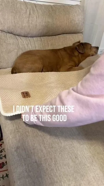 If your pets are allowed on the couch you need these couch covers. #petfriendly #petsoncouch #couchcovers 