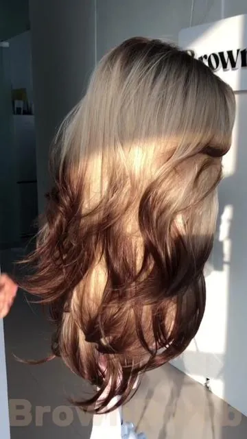 Brown roots, creamy blonde center, brown tips again 😮‍💨Like a Siamese cat’s soft fur under sunlight🤎🤎💛💛🤎🤎Warm, creamy, and naturally luxurious Finger comb through… the blonde reveals itself between every layer ✨ #siamese #siamesecat #ombrehair #layeredwig #gluelesswig 