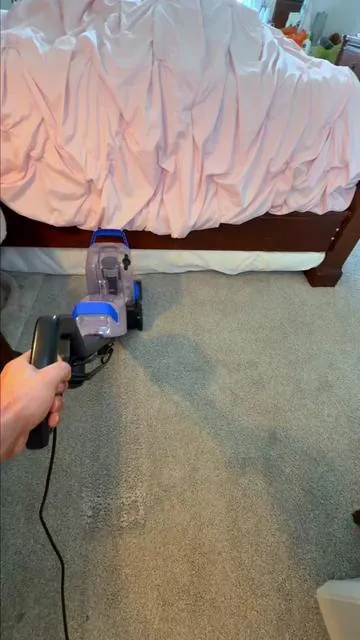 What’s inside your carpets? 🤔 #carpetcleaning #carpetcleaner 