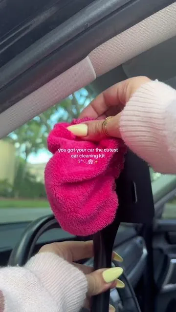 The cutest car cleaning kit for all the girlies 🎀🫧💕 This kit is so convenient and has everything you need to make your car ✨ sparkle ✨ #cleantok #carcleaning #cleaningcar #asmrcleaning #cleanwithme 