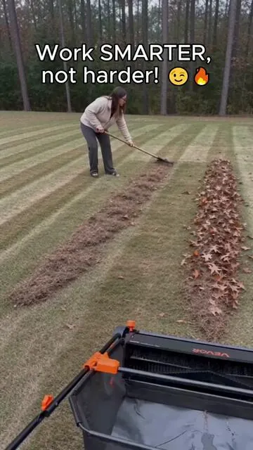 #VEVOR #LawnSweeper #YardCleanup #LeafCollector #DealsForYouDays