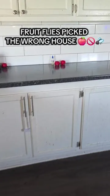 Okay but why do these little traps work SO well 😭🍎 If fruit flies keep taking over your kitchen every summer… you need these. Tiny, discreet, and actually satisfying seeing them disappear 😂✨ #homefinds #kitchenhack #summerfinds #cleaningtok #momlife