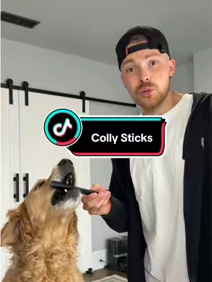 your dog is gonna go bananas for these colly sticks 

#naturaldogtreats #dogchews #dealsforyoudays #summervibes #petlovers 