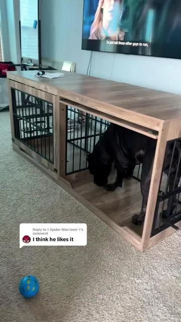 Replying to @✞ Spider-Man lover ✞ he waisted no time. He didn’t even let us  finish putting it together lol  #dogcrate #dogfurniture #kennel #dogowners #petparents 