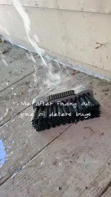 Did you know? 🌲 Cleaning with pine oil does more than leave your home smelling fresh! Pine oil helps cut through grease, deodorize surfaces, and can even help deter some common household bugs thanks to its strong natural scent. It’s a powerful cleaner for floors, kitchens, bathrooms, and other high-traffic areas—leaving everything looking clean and smelling amazing.  Enjoy cleaning asmr lots of brush noise and a satisfying dirty clean✨🧽 #cleantok #cleaningasmr #cleaninghacks #dealsforyoudays 