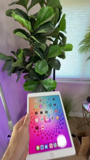 ✨ Refurbished iPad 7th Gen ✨ WiFi + Cellular • Excellent Condition A2197 model • Year warranty included Great for school, streaming, kids, travel & everyday use Free shipping 🚚 #iPadDeal #RefurbishediPad #TikTokShop #TabletDeals #AppleiPad