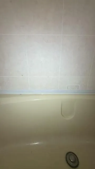 7651680828618968351
