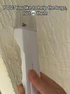 It’s not their fault for being in the wrong place! #dealsforyoudays #tiktokshopcreatorpicks #bugs #insect #pest 