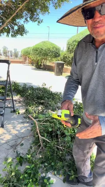 7651741528372677901