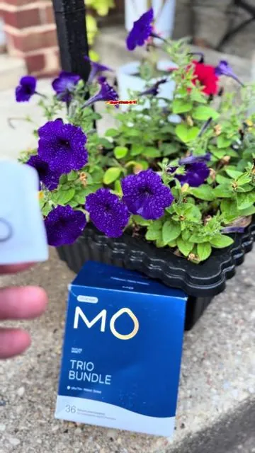 Tres estilos diferentes en un solo paquete. Más variedad, más ahorro y una oferta difícil de ignorar. #Preservativos #fathersdaygift #SummerVibes #tiktokstokckup #DealsForYouDays 