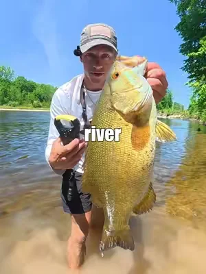 This Scale Tracks Your Progress #Fishing #FishingVideos #FishingContent 