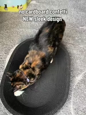 Replying to @ddickersonDC is this better? 😉 #summerwins #dealsforyoudays #SummerVibes #petlovers #catscratcher 