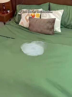 Who’s been hiding these cooling bamboo sheets from me this whole time 😱 #BambooCoolingSheets #SleepEssentials #SouthernLiving #HotSleepers #DealsForYouDays