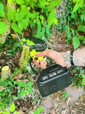 Another day of cleaning up our property. This little chainsaw is lightweight, cordless and easy to use. If you’ve got brush, volunteer trees or anything around your property you want to clean up, this little chainsaw may be what you need! @SEESE Store #chainsaw #tree #overgrownyard #tiktokshopdealsforyoudays #dealsforyoudays 