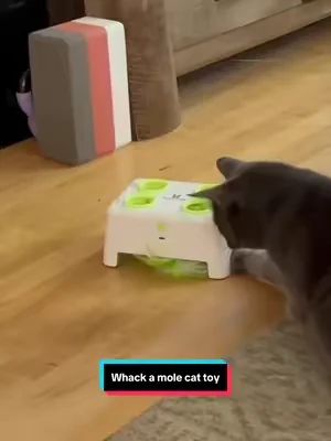 The cat toy that will keep your cat busy for hours. #cattoy #whackamole #catentertainment #catlovers 
