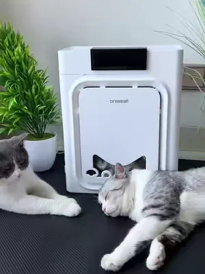 this literally traps pet hair from out of the air,we have two cats!   #PetAirPurifier   #PetHairEverywhere  #CatHealth #Dealsforyoudays #SummerWins 