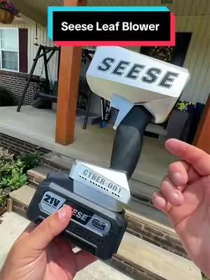 The Seese Hand Held leaf blower. @Seesii Store #leafblower #dealsforyoudays #yardwork #seese #tools 