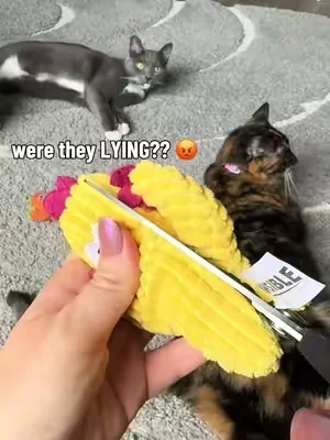I couldn’t believe it! #summerwins #dealsforyoudays #SummerVibes #petlovers #cattoys 