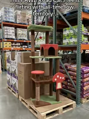 PAWZ Road Cat Tree #DealsForYouDays #SummerWins 