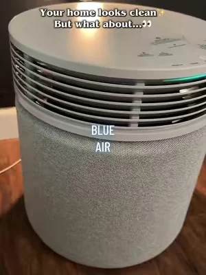This is your reminder that clean counters don’t always mean clean air #blueair #airpurifier #cleanliving #homeessentials #petowner 