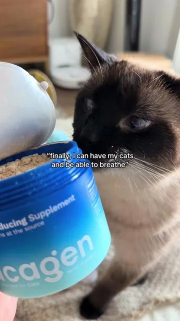 If your cats rejected other cat allergen foods give this a try. @Pacagen #TikTokShopDealsforYouDays #SummerWins #catallergies #allergictocats #CapCut 