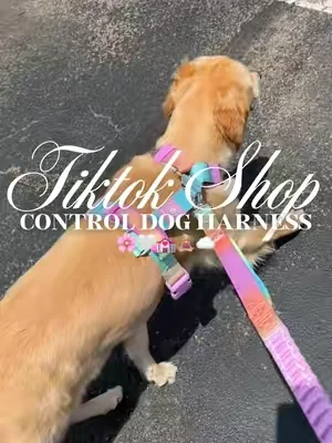Control dog harness 🌸🤍💒🧘🏼‍♀️☁️#fyp #dogharness #nopulldogharness #nopullharness #dogwalk 