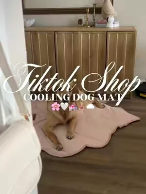 Cooling dog mat 🌸🤍💒🧘🏼‍♀️☁️#fyp #dogbed #coolingdogbed #petbed #dogbeds 