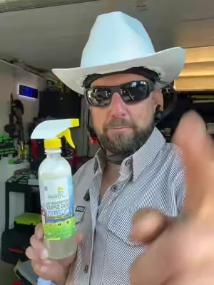 Insect repellent#peppermintoil #insectrepellent #bugspray #pestcontrol #mice 