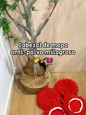 realmente estás desperdiciando mucho dinero. Este cabezal removedor de polvo de chenilla reciclable adecuado para ocedar será tu primera opción.#paratiiiiiiiiiiiiiiiiiiiiiiiiiiiiiii #limpiando #ocedarmop #chenilleduster #dealsforyoudays