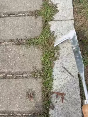 Do you still use butter knife and screwdriver for this type grass in crevice? #magictools#concretecrevicetool#drivewaycracksgrass#DealsforYouDays #summerwins