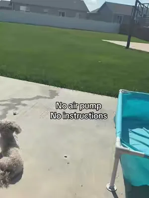 Get the pool!!! @Spreetail #pool #swimmingpool #toddlersoftiktok #toddlerfun 