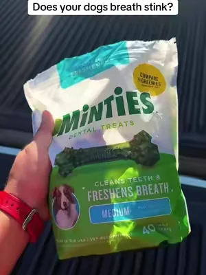 Does your dogs breath stink? #dogs #puppy #petparent #dogsoftiktok 