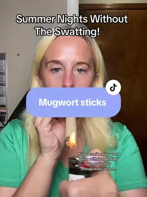 Summer nights on the patio are way better when you’re not constantly swatting mosquitoes. 🦟✨ I started using these Natural Defense Mugwort & Gastrodia aromatherapy sticks before heading outside, and they’ve helped me enjoy my backyard again! #NaturalDefense #tiktokmademebuyit #mosquitorepellent #summermusthave #tiktokshopcreatorpicks
