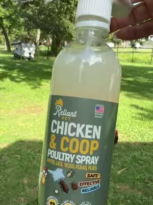 Keeps your flock comfortable and protected. Easy to use and a must-have for chicken owners. #dealsforyoudays #tiktokshopcreatorpicks #SummerWins #backyardchickens #homesteadlife 