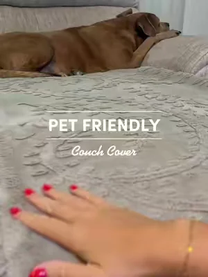 Plush feeling couch cover?! Yes please. #dealsforyoudays #couchcovers #petfriendlyhome 