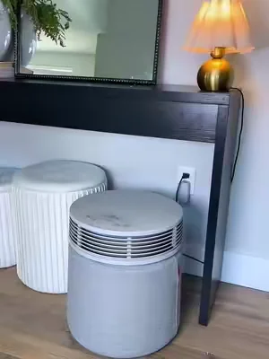 Purifying all the air in the house with one fan #tiktokshopcreatorpicks #DealsForYouDays #blueairpurifier #airquality #homecomfort 