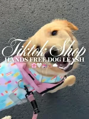 Hands free dog leash 🌸🤍💒🧘🏼‍♀️☁️#fyp #dogleash #dogwalk #handsfreedogleash #handsfreeleash 