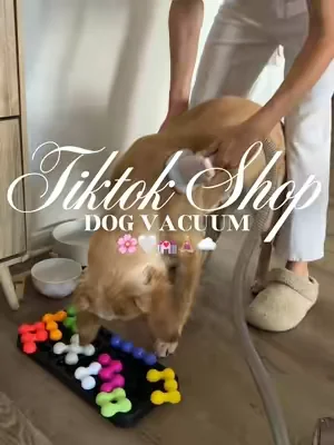 Dog vacuum 🌸🤍💒🧘🏼‍♀️☁️#fyp #dogvacuum #doggrooming #doghair #doggroomingvacuum 