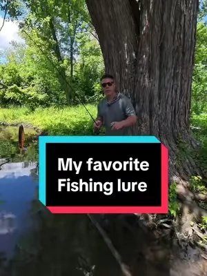 I use a top water fishing lure to try to catch a bass! #topwaterfishing #fishinglure #bassfishing #lurefishing #topwater