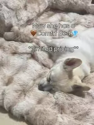 Comfrt doggie bed perfection #dogmom #puppiesoftiktok #cutedog #dogbed @Comfrt 