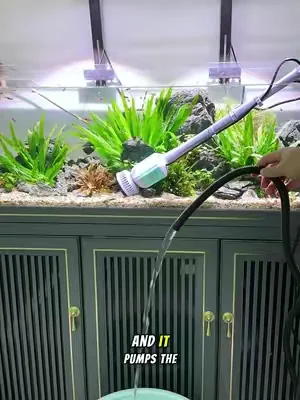 How do you change your aquarium water?#aquarium #fishtank #cleaner #dealsforyouday #waterchange 