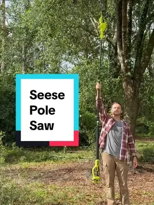 I actually have fun using this thing for yard work. #polesaw #chainsaw #seese 
