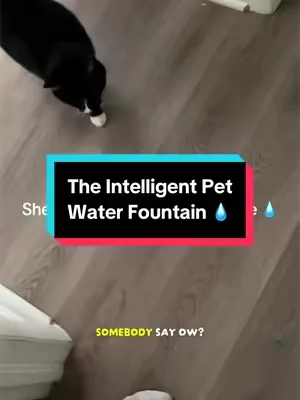 Mishka just got a serious upgrade 🙀💧😻This self-cleaning fountain keeps fresh water flowing on autopilot 🔄 no filter needed, app-controlled, and it separates clean from dirty water automatically. Game changer for pet parents!! #TikTokShopMegaSale #SummerSale2026 #CategoryFeaturedDays #PetLovers #DealsForYouDays 
